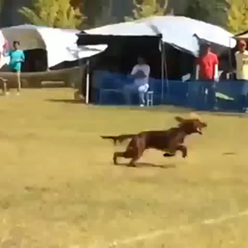 「脱走小僧」３の画像