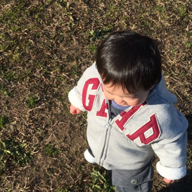 芝生で散歩の画像