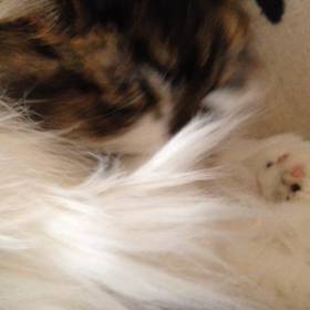 散々な朝の後のマッタリ〜の画像