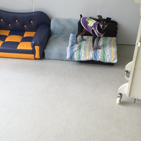 ♪プレイルーム動画♪②の画像