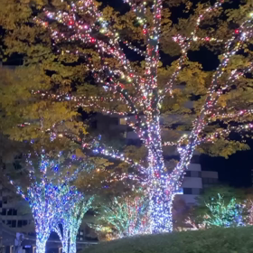 今年一年頑張った自分へご褒美は決めましたか？☺️ ⭐︎ 御徒町ネイルサロン【ピールオフネイル®︎】の画像