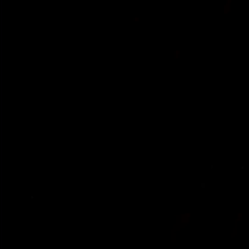 最近の息子の画像