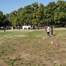 学年別インターバル(折り返し付近)①の画像