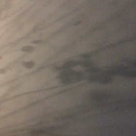 今夜はcafeDでブラックXmasパーティーの画像