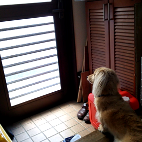 パパの居ない家の画像