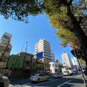 Shima散歩Tokyo湯島駅〜東京大学〜上野公園一周散歩ver.3の画像