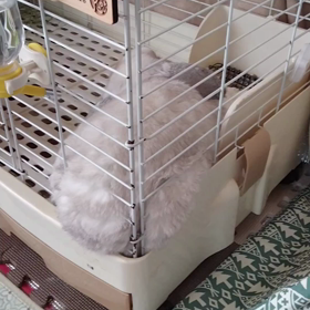 うとうとの画像