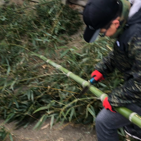 古寺再生プロジェクト第6弾！の画像