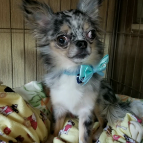 ゆずちゃんお誕生日＼(^o^)／の画像