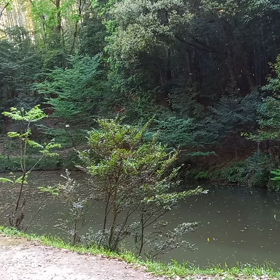 神様に呼ばれての画像