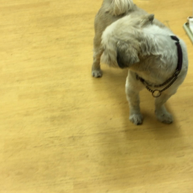 ガラスのハートなんで。の画像