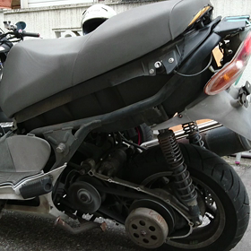 レオナルドちゃんの画像