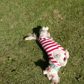 11/4(祝)気持ちの良い日となりました。の画像