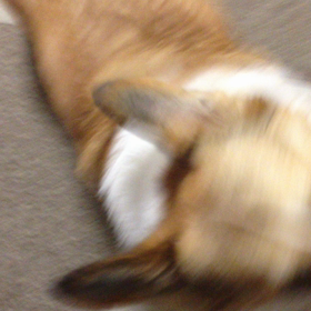 なーんと！の画像