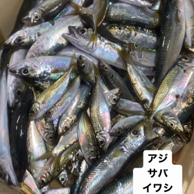 108匹の画像