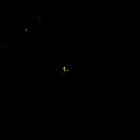 本日の喫煙本数は30本の画像