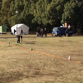 腕振りのお手本②の画像