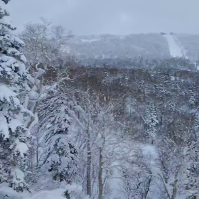スキーシーズン到来の画像