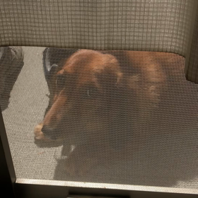 ６５９円の巻の画像