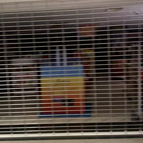 前回の続き　帰国しましたの画像