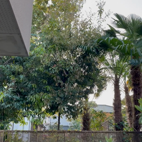 ☆イマソラ☆の画像