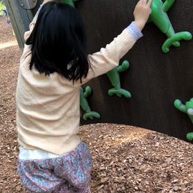 公園での一コマの画像