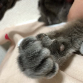 エアーもみもみの画像