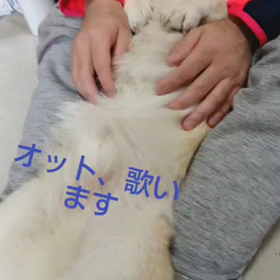 ブラッシング体操の画像