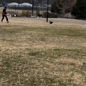 今年もよろしくお願いします。の画像