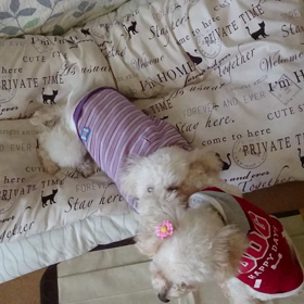 よっ、姉御☆の画像