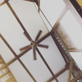 爆笑( ＾∀＾)の画像