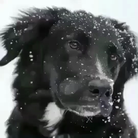 なんとも2の画像