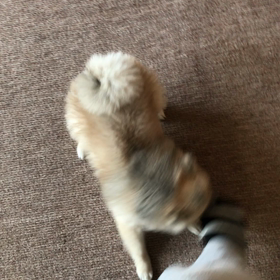 最近の遊びの画像