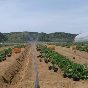 強制的に降らせてみました！！の画像