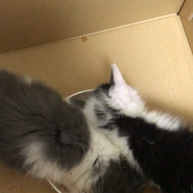 おやすみ前のお食事タイム☺️の画像