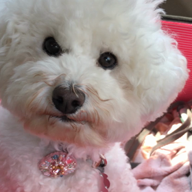 8月19日  お嬢ちゃんのごはん事情の画像