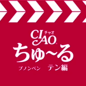 成功ちゅーる動画の画像