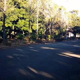 越谷春季記録会リレー選考会(男子)⑥の画像