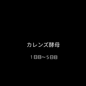 カレンズ酵母１日目～５日目の様子。の画像