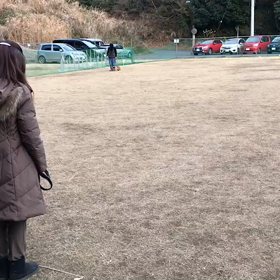 チームテストの画像