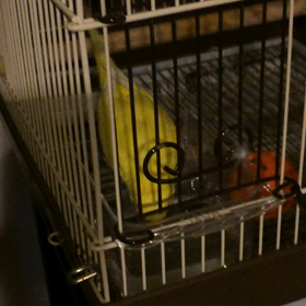 きいちゃん、初めてひとりで水遊びの画像