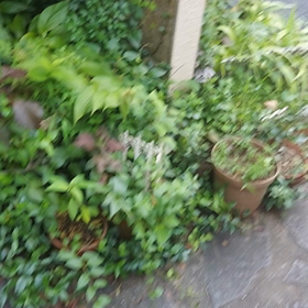 18日の朝⭐の画像