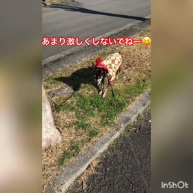 調子良し！！の画像