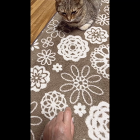 今夜の☆みかん姫*ʚ♡ɞ*の画像