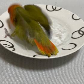 最近　何故か皆んなから同じ事を言われるの画像