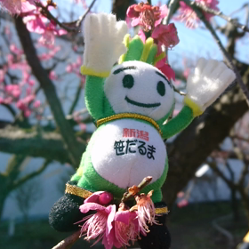 3/14の画像