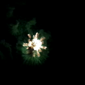 奄美ぃな夜！①の画像