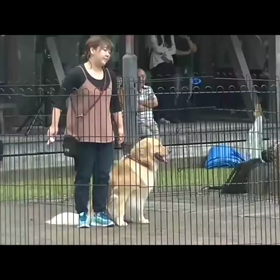 動物愛護フェスティバルの画像