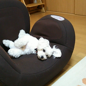 すごい格好…の画像