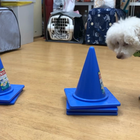 ソナ編。の画像